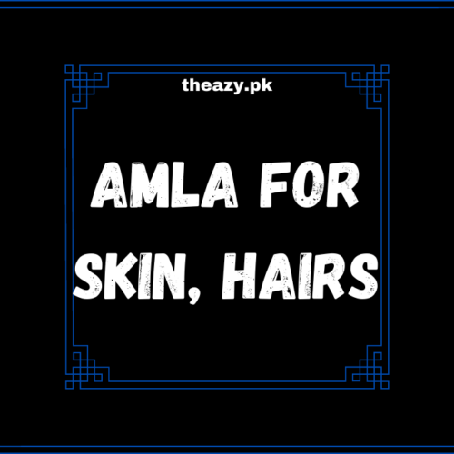 Benefits of Amla for our Skin, Hairs and Health